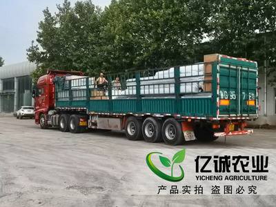 溫室大棚制造廠家施工現場案例-溫室工程出口圖片_青州市億誠農業科技