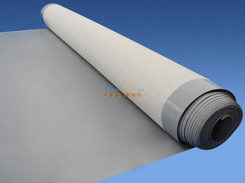 煙臺地區防水全解析 材料選擇、堵漏技術與工程實踐