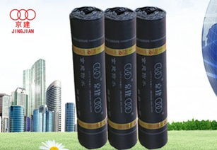 天津防水材料市場概述 類型、應用與選購指南